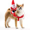 Clearance Christmas Dog Costume Funny Dog Christmas Santa Claus Costume Riding on Dog Pet Cat Christmas Holiday Outfit Pet Christmas Clothes Dressing up for Halloween Christmas Party(Large)